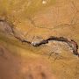 River Bed 04