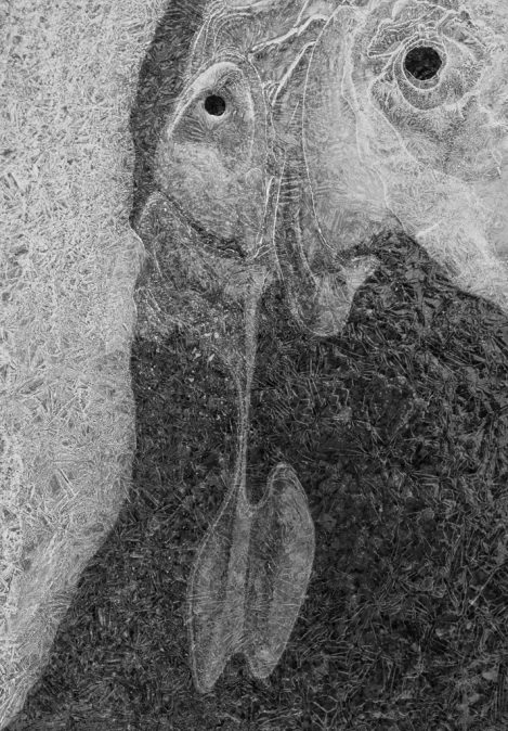 Ice 3