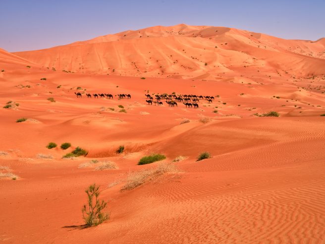 Unterwegs In Den Dünen Der Rub Al Khali, Oman.