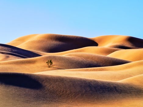 Unterwegs In Der Rub Al Khali In Oman.