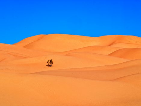 Unterwegs In Der Rub Al Khali In Oman.