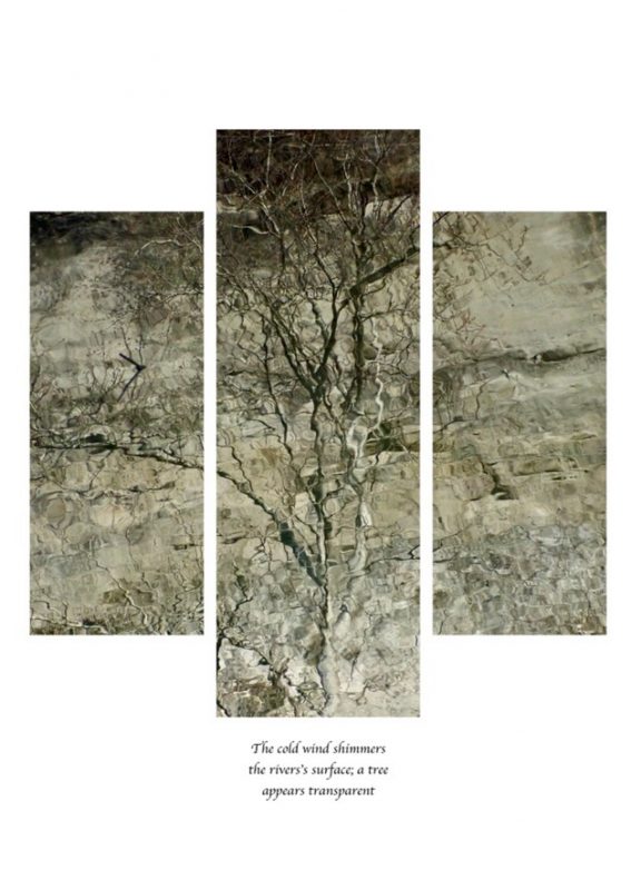 The Cold Wind Shimmers
