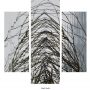 Wabi Sabi