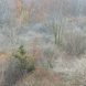 Norfolk County #5 November Hillside Kp