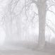 Norfolk County #9 Hastings Fog Kp