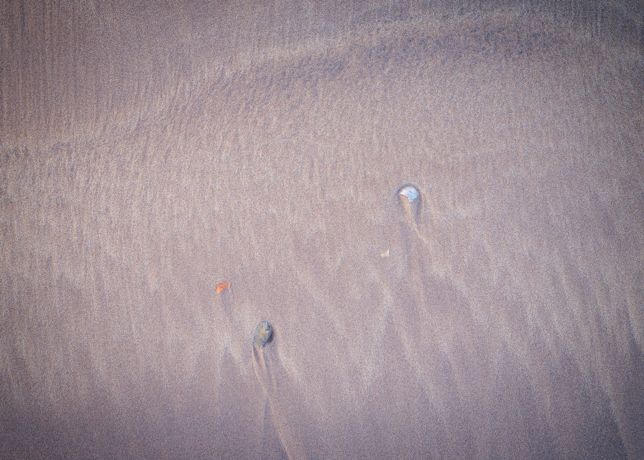 Nigelcooke Escape The Algorithm 11