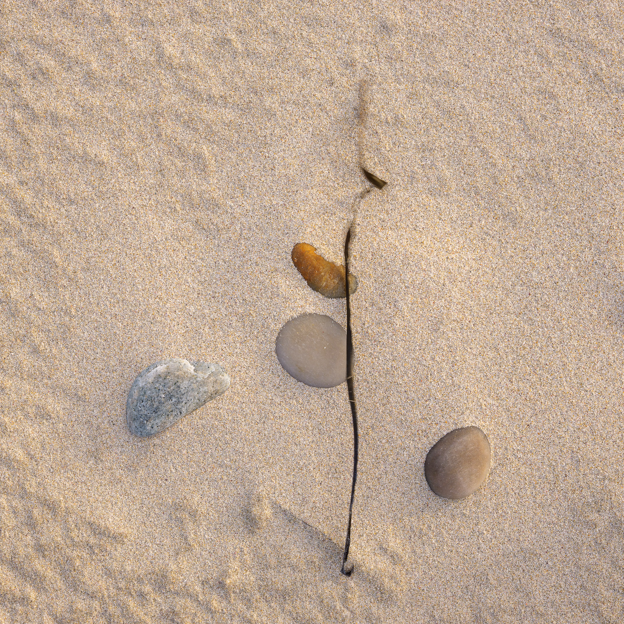 Nigelcooke Escape The Algorithm 12