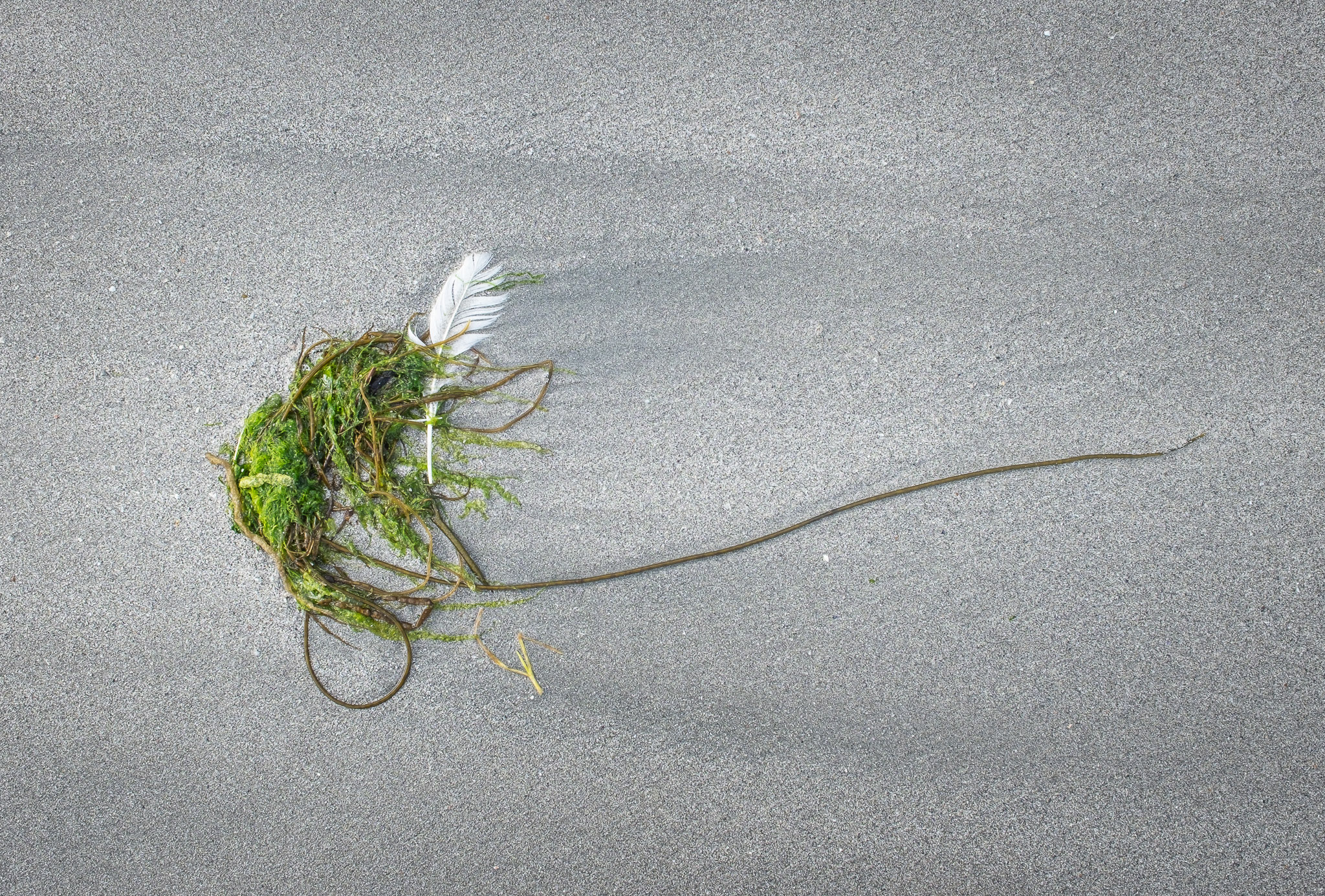 Nigelcooke Escape The Algorithm 3