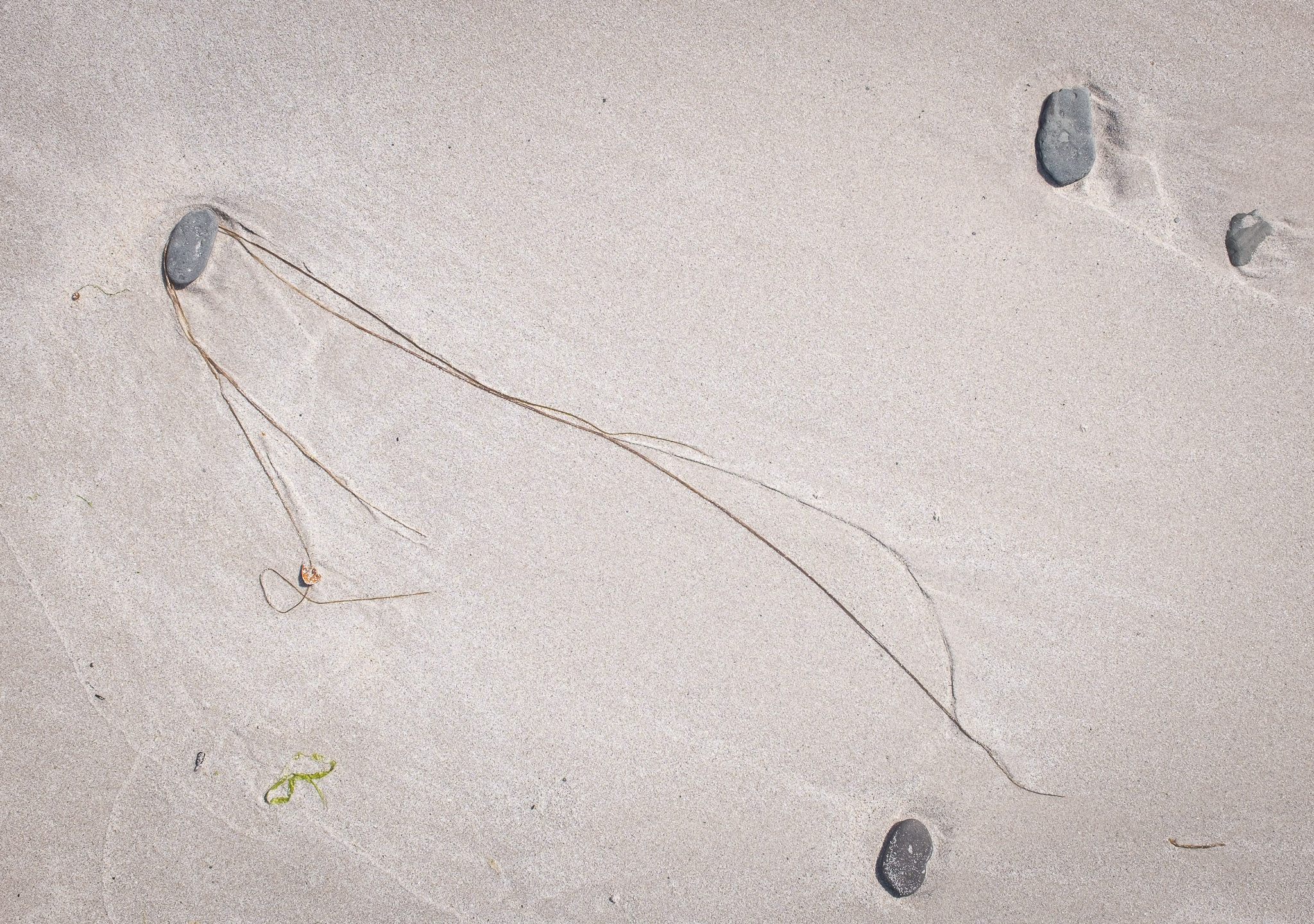 Nigelcooke Escape The Algorithm 5