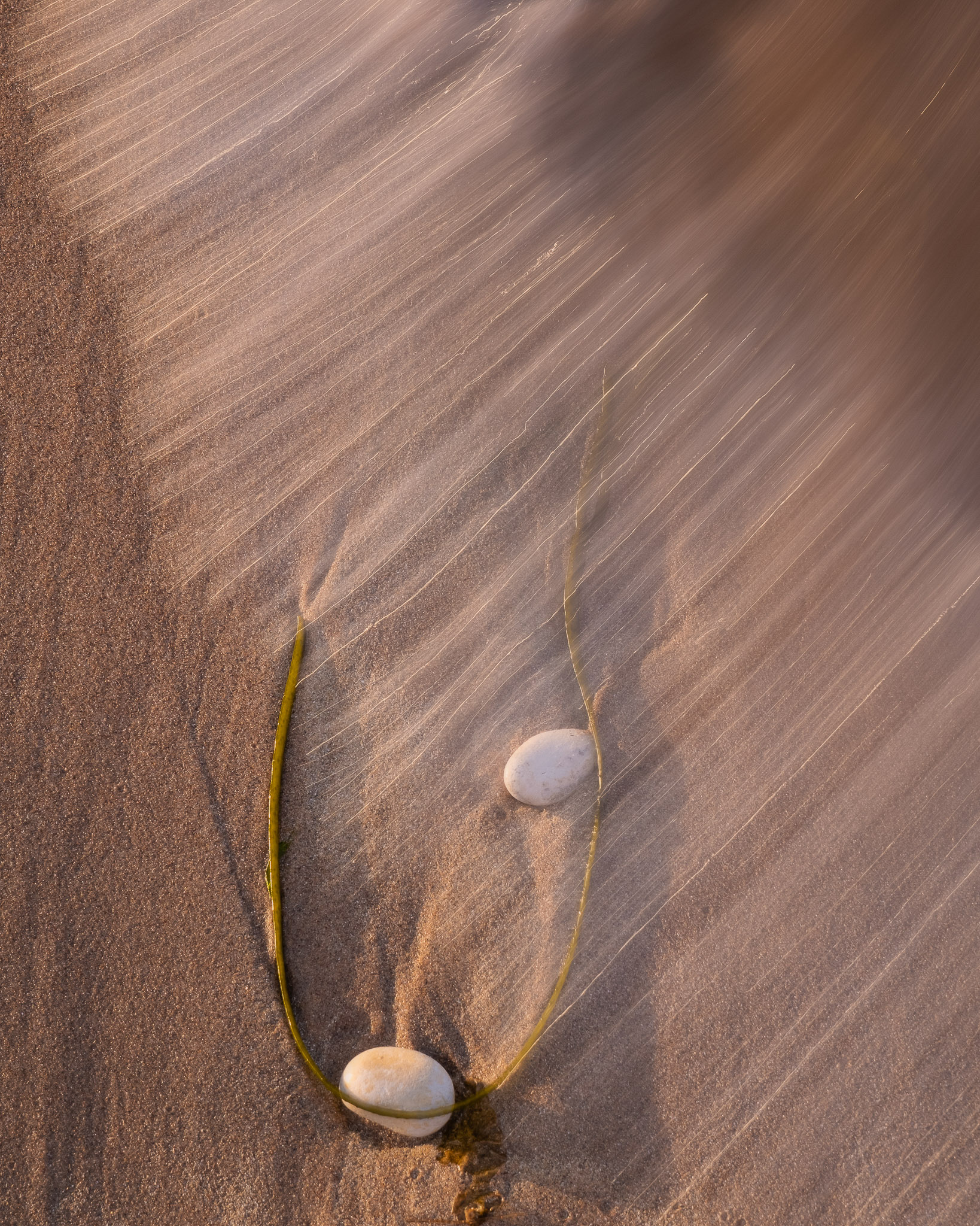 Nigelcooke Escape The Algorithm 7