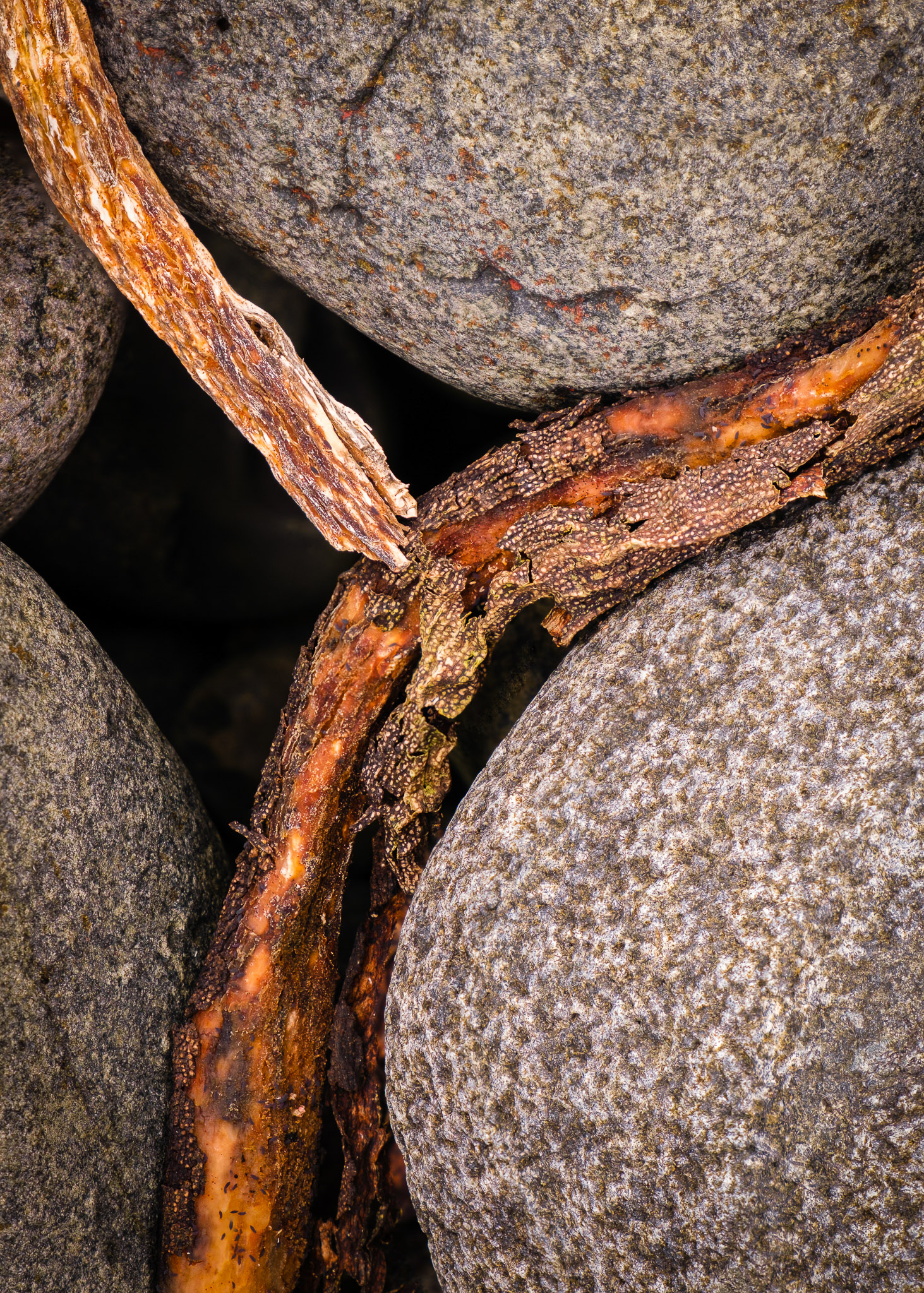 Nigelcooke Escape The Algorithm 9