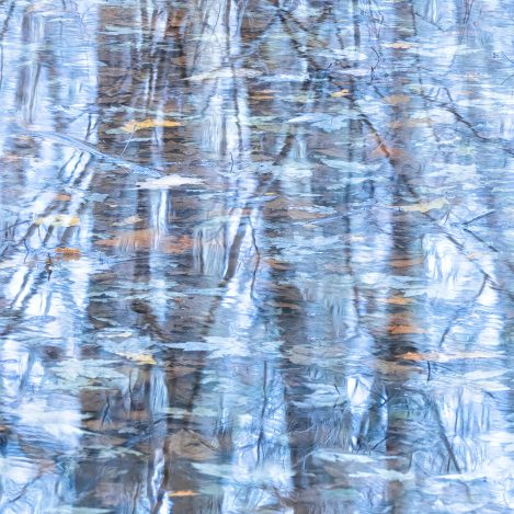 Reflections On Vernal Pond Autumn Larry Monczka
