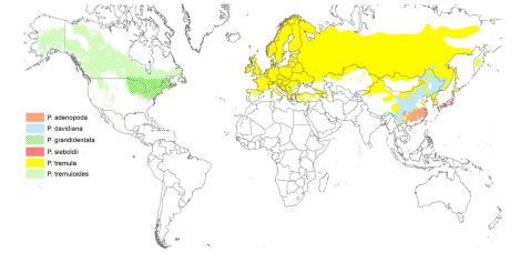 Aspenmap