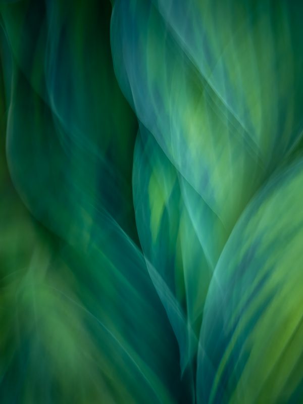 Stephane Jean 03 Favorite 1