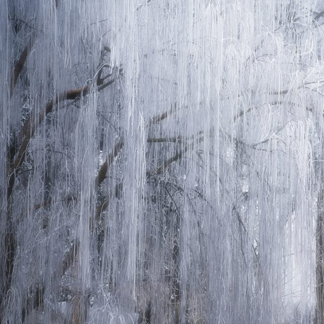 Andrea Lazzarini 1310 65250