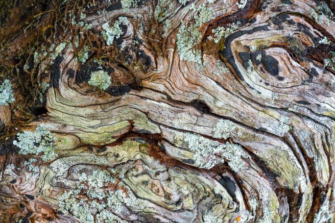 Anton Gorlin 143 56761