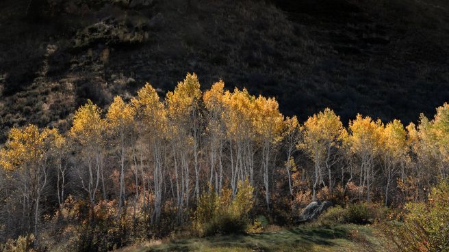 Ruby Mountasins, Nevada Usa