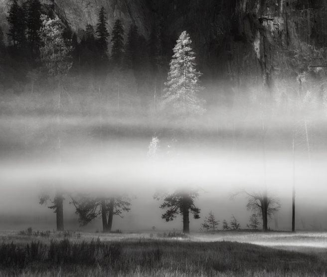 Franka Gabler 787 60086