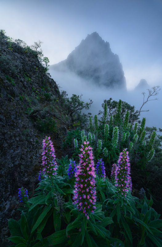 Grégoire Pansu 6197 64429