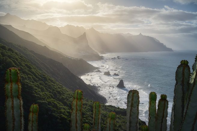 Grégoire Pansu 6197 64433