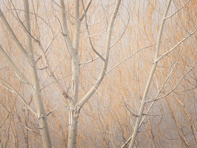 Ian Meades Bennington Lake