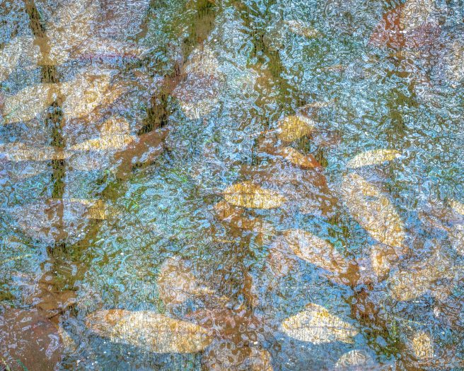 Jack Krohn 1935 65811