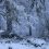 Kennymuir Winter (1)