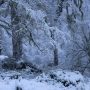 Kennymuir Winter (1)