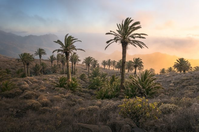 Mathias Libor 434 56949