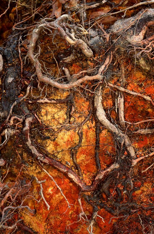 Patrick Krohn 1482 58639