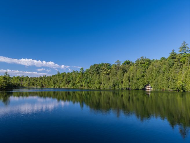 R. De Loe On Landscape 01