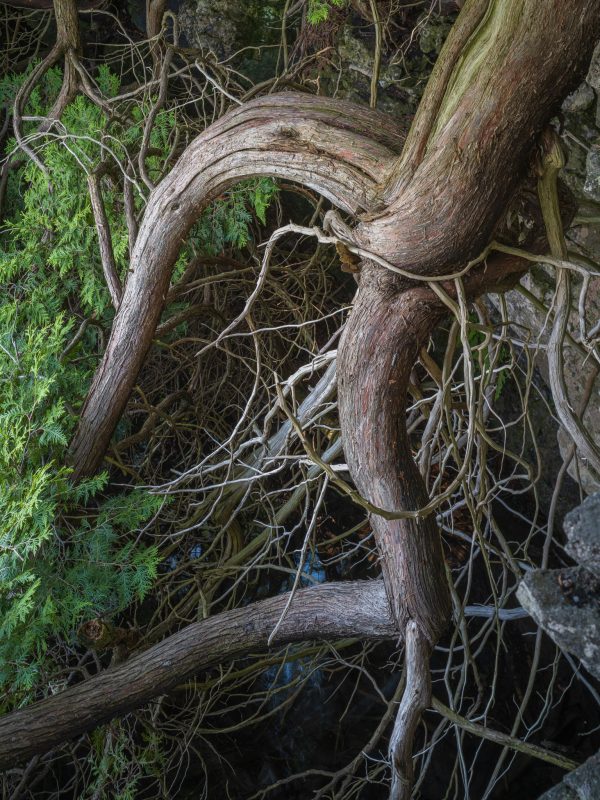 G. Characteristic Niagara Escarpment Preserved