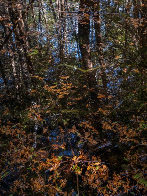 R. De Loe On Landscape 04