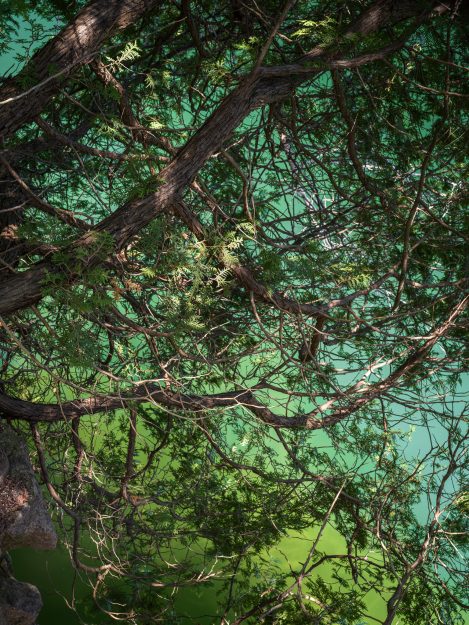 R. De Loe On Landscape 08