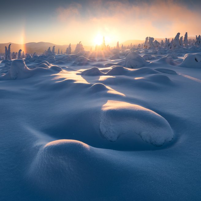 Vojtech Schmidt 6113 61790