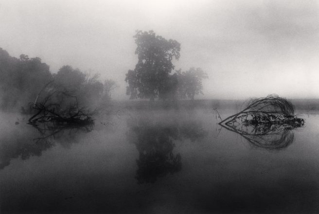 Reflection, Big Sur, California, Usa. 1979