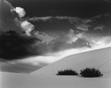 Brothers In Spirit Murray White