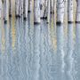 Onlandscape Abraham Lake