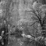 Autumn Yosemite Valley 1938