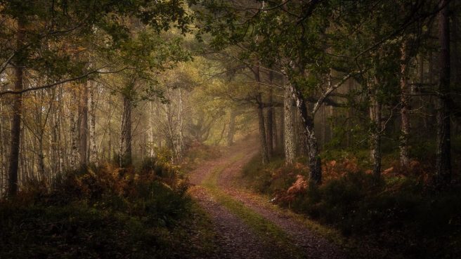 Wander Down Near Garve. Mark Littlejohn