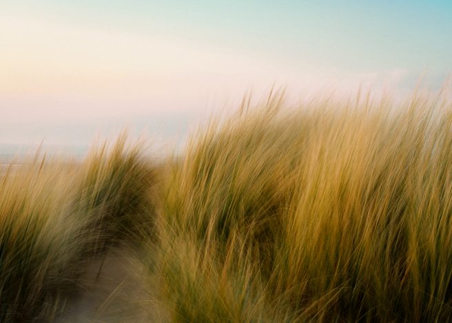 20220328 Dsc00785 Copy 2