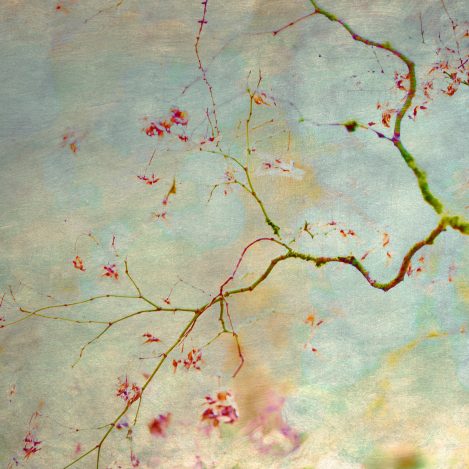 20221031 Dsc00537 Edit Copy