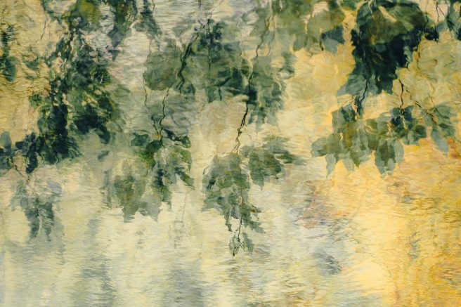 20230813 Dsc09278 Edit 2 Copy 2