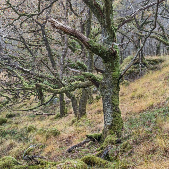 Onl 4x4 20241104 060 F1