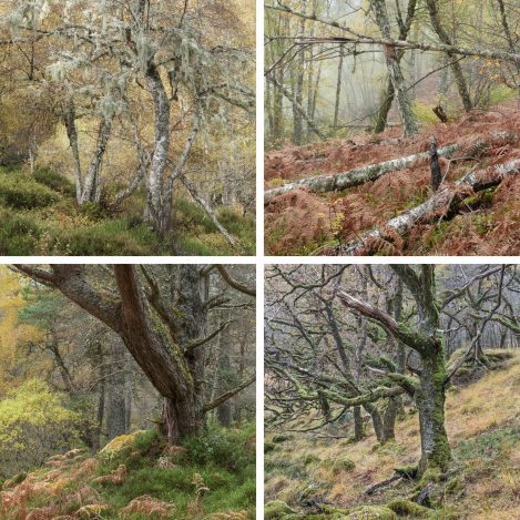 Uwe Beutnagel Buchner 4x4