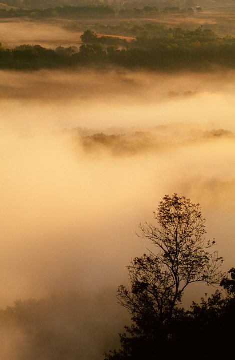 428 104 Wyalusing Mist