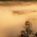 428 104 Wyalusing Mist