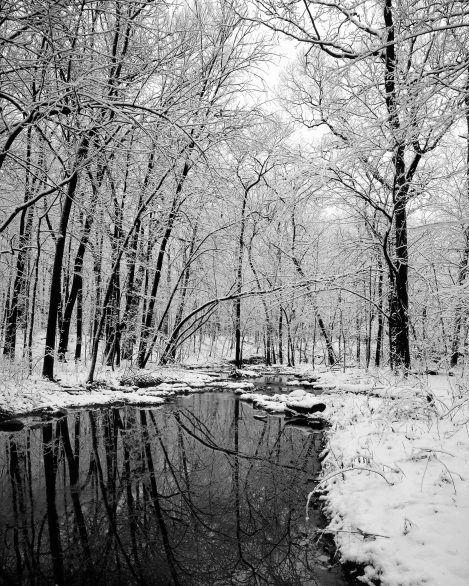 453 91 Hammel Creek Winter