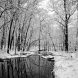 453 91 Hammel Creek Winter