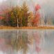 497 56 Autumn Fog, Council Lake